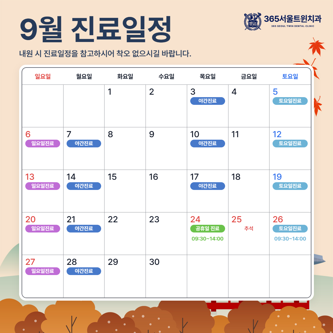 팝업